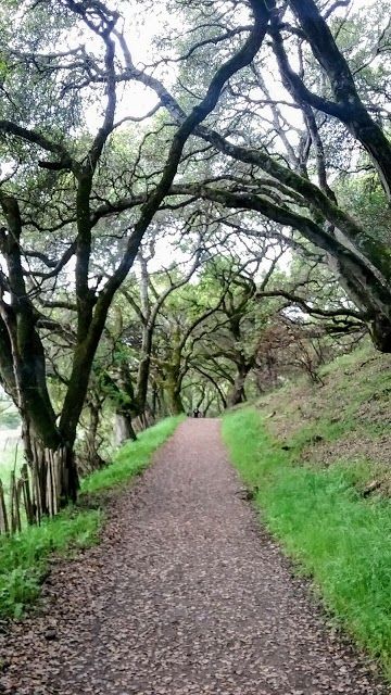 Shiloh Ranch Regional Park